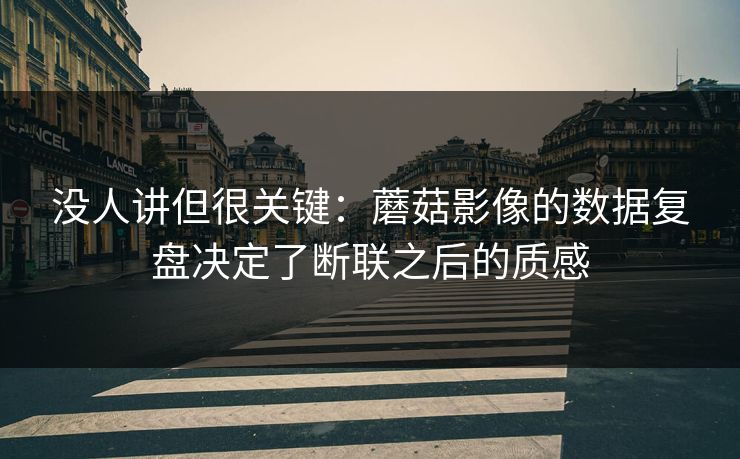 没人讲但很关键：蘑菇影像的数据复盘决定了断联之后的质感