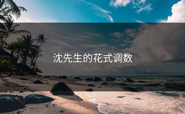 沈先生的花式调数