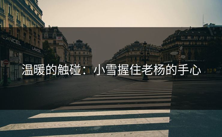 温暖的触碰：小雪握住老杨的手心