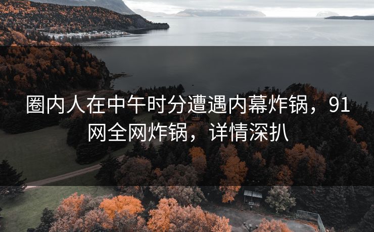 圈内人在中午时分遭遇内幕炸锅，91网全网炸锅，详情深扒