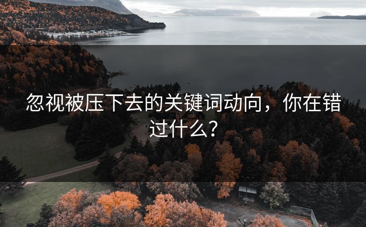 忽视被压下去的关键词动向，你在错过什么？
